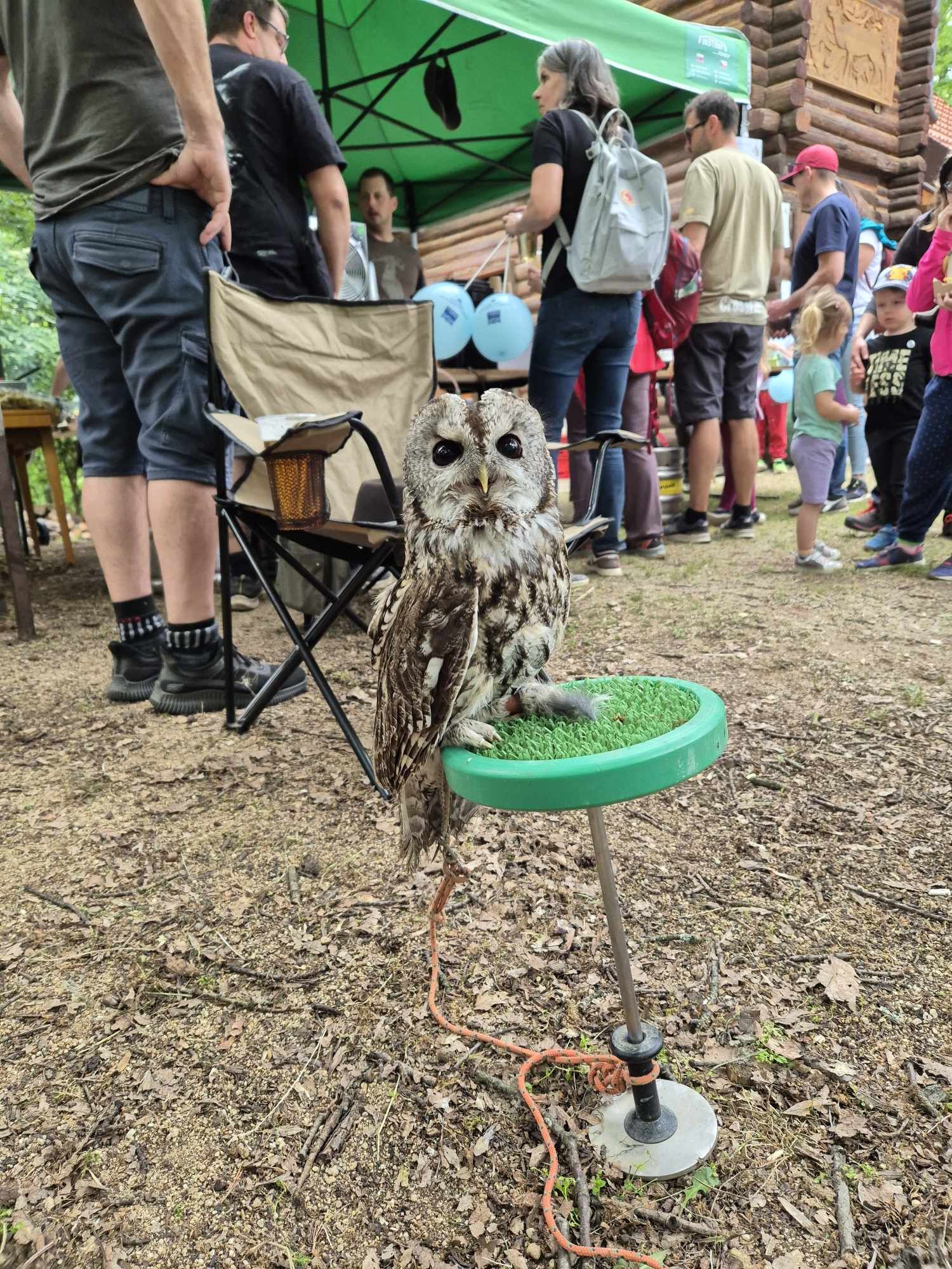 Myslivecký dětský den Střelice – Troubsko